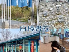 -思念果岭悦温泉