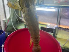 -凤城礼记鱼翅海鲜酒家(新马路总店)