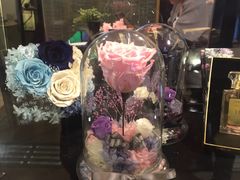 -K11 Design Store