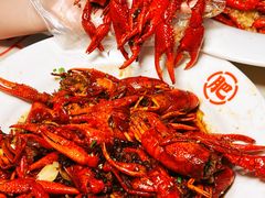 -肥肥虾庄·金牌油焖大虾(南山西丽店)