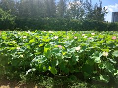 -龙环葡韵住宅式博物馆