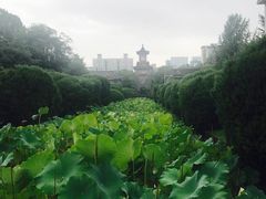 -四川大学(华西校区)