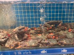 -周记老沈阳焦火鸡架