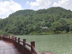 -广州白江湖森林公园