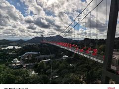 -西霞口神雕山野生动物世界