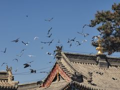 -大召寺明清一条街