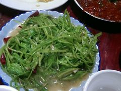 android_upload_pic-苍洱春饭店