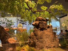 -绿茶餐厅(光明N次方公园店)