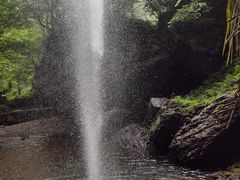 -好灶头妈妈菜·柴火灶台鱼·千岛湖土菜地标美食