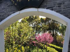 -南汇桃花村
