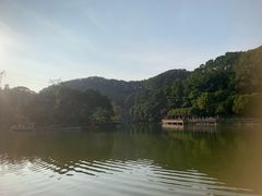 -广州市帽峰山景区
