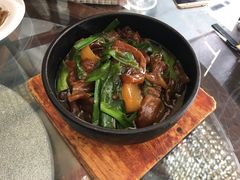 石锅萝卜牛筋煲-渔堂公园餐厅·本帮菜(乐园路店)