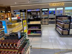 -英迪拉·甘地国际机场