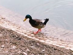 -河南省黄河迎宾馆