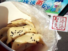 鲜肉锅贴-汪记大王锅贴(成山路店)