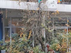 -春树下·树屋花房西餐厅(罍街AS1980店)