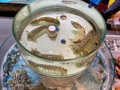 -强记海鲜·大排档(蛇口新街店)
