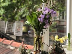 -蝶舍·MAISON PAPILLON