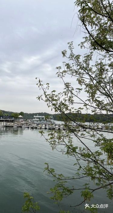 仙海旅游度假区图片