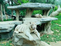 -北京野生动物园