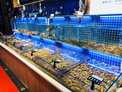 水产区-必点海鲜·鲅鱼水饺(鞍山西道店)
