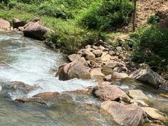 -广州白江湖森林公园