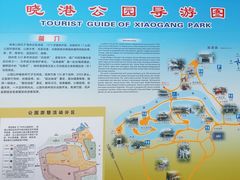 -晓港公园