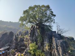 -玉石林风景区
