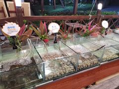 -渔家火锅·海鲜自助餐·演艺(亚龙湾天域酒店)