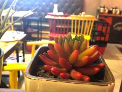 -串天下串串香(宽窄巷子店)