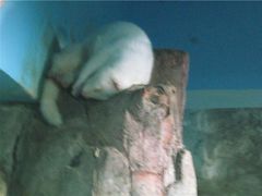 -苏州海洋馆