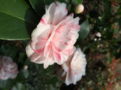 iphone_upload_pic-航天无锡（738）疗养院