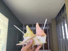 -野人先生现做冰淇淋(北京顺义祥云小镇店)