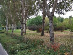 -长春公园(普阳街道)