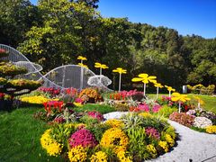 -上海共青森林公园