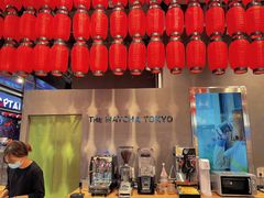 -THE MATCHA TOKYO抹茶东京
