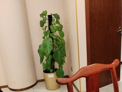 -鲁宴·鲁煨黄河生态大鲤鱼(月坛店)