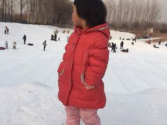 -1982农场