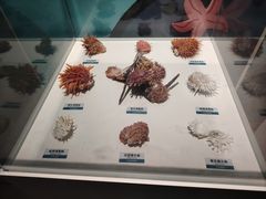 -陕西自然博物馆