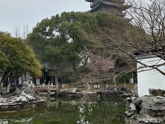 -常熟方塔园