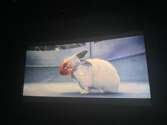 -万达影城(经区九龙城店)