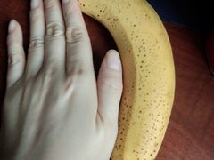 -百果园(愉景南苑店)