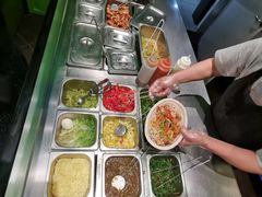 -油梨树AVOCADO TREE(顺义新国展店)