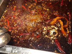 -红鼎坊·老成都火锅(新南门店)