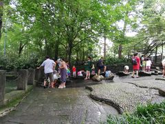 -成都市活水公园
