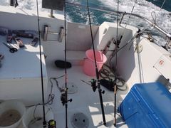 -小猫钓鱼海钓俱乐部(椰梦长廊店)