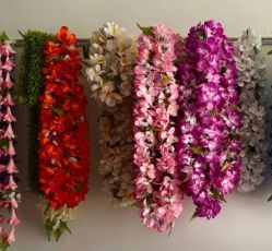 -呼拉汇舞蹈生活馆 Hawaii Hula&Tahiti Dance Studio