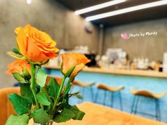 -Infica Coffee
