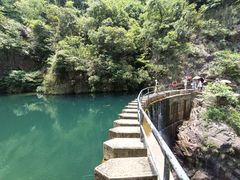 -大奇山国家森林公园