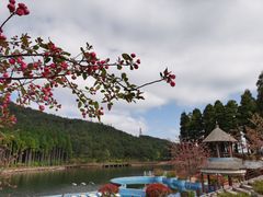 -明月山风景名胜区